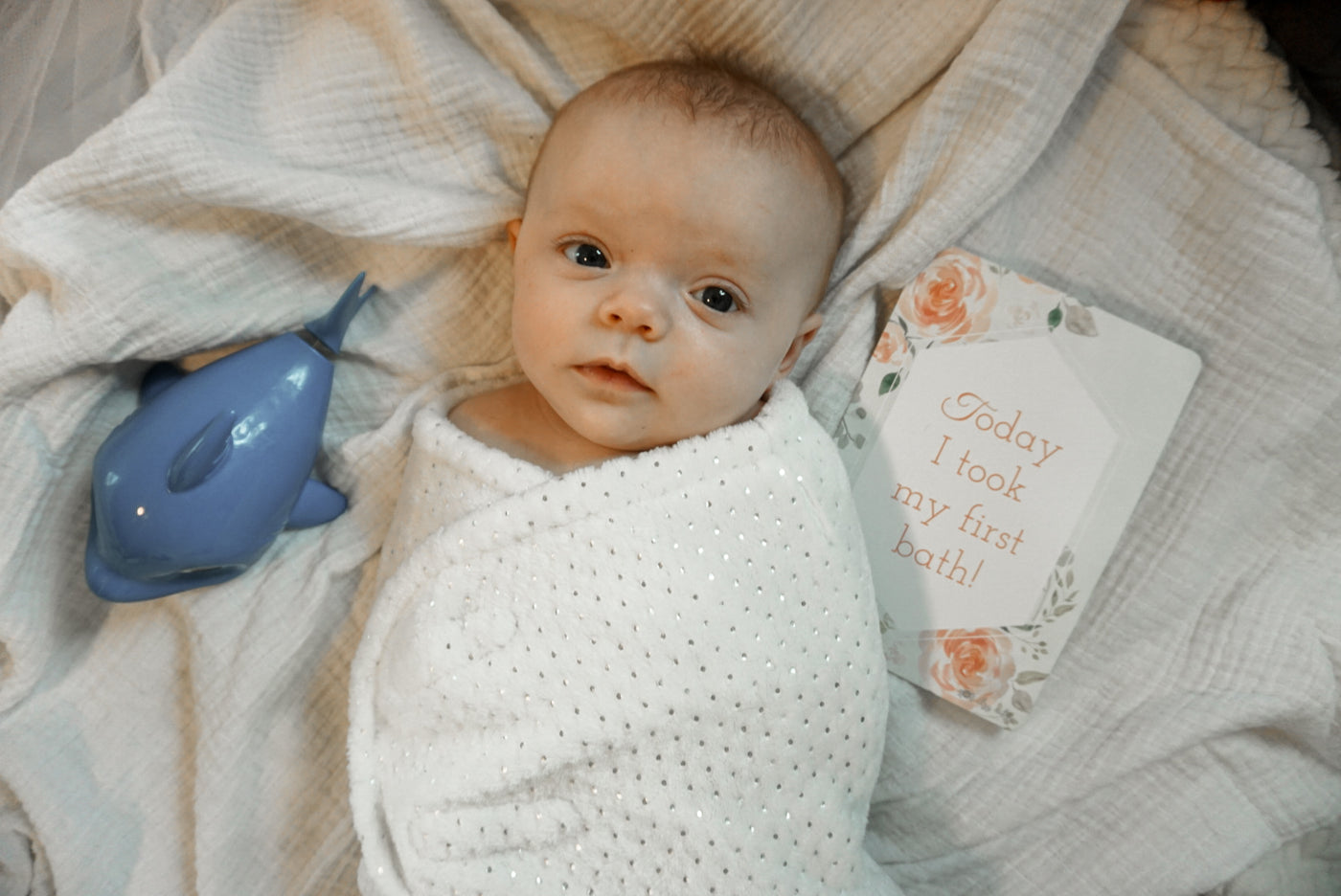 Itzy Ritzy - Double-Sided Baby Milestone Cards - Floral